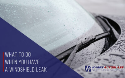 What to Do When You Have a Windshield Leak
