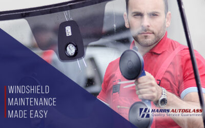 Windshield Maintenance Made Easy