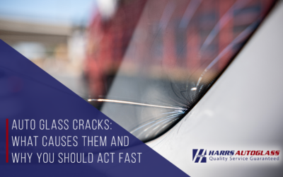 Auto Glass Cracks: What Causes Them and Why You Should Act Fast